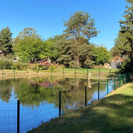 Luci Juras Apartamenti 2 Roja Dış mekan fotoğraf